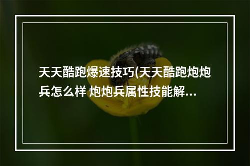 天天酷跑爆速技巧(天天酷跑炮炮兵怎么样 炮炮兵属性技能解析攻略)