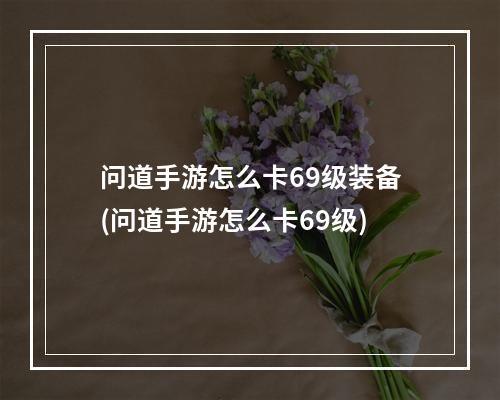 问道手游怎么卡69级装备(问道手游怎么卡69级)