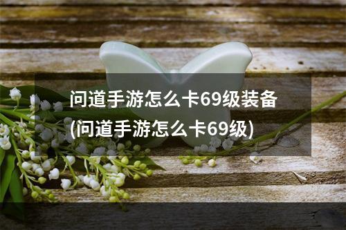 问道手游怎么卡69级装备(问道手游怎么卡69级)