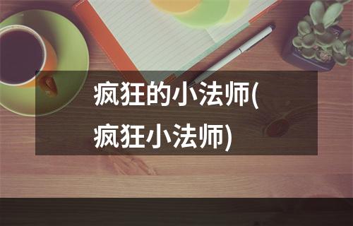 疯狂的小法师(疯狂小法师)