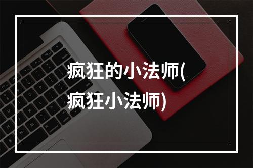 疯狂的小法师(疯狂小法师)