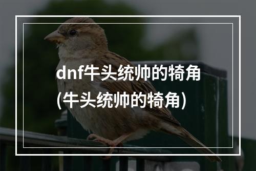 dnf牛头统帅的犄角(牛头统帅的犄角)