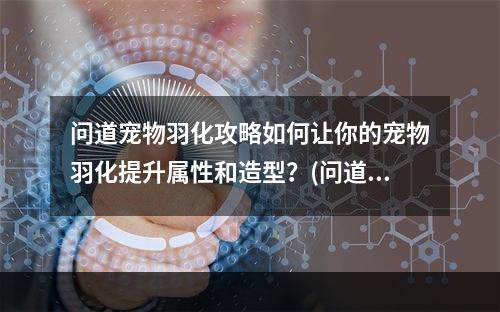 问道宠物羽化攻略如何让你的宠物羽化提升属性和造型？(问道宠物羽化任务流程详解一步步解析羽化所需步骤和要求！)