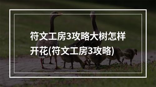 符文工房3攻略大树怎样开花(符文工房3攻略)