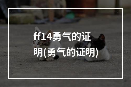 ff14勇气的证明(勇气的证明)