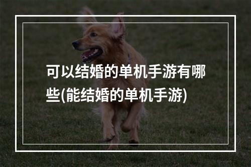 可以结婚的单机手游有哪些(能结婚的单机手游)