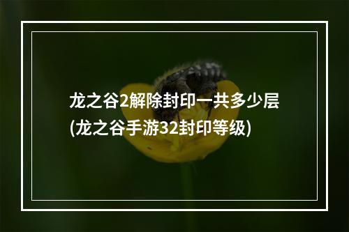 龙之谷2解除封印一共多少层(龙之谷手游32封印等级)