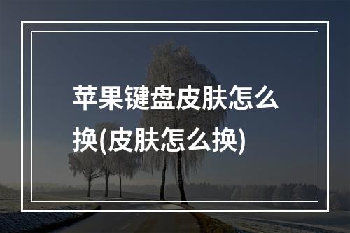 苹果键盘皮肤怎么换(皮肤怎么换)