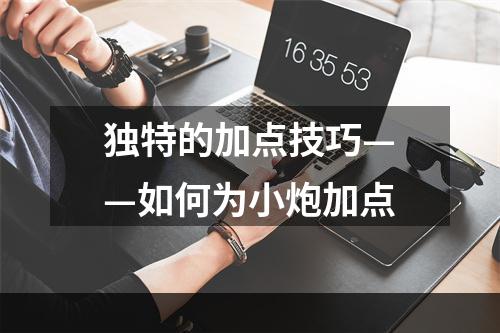 独特的加点技巧——如何为小炮加点