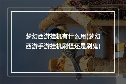 梦幻西游挂机有什么用(梦幻西游手游挂机刷怪还是刷鬼)