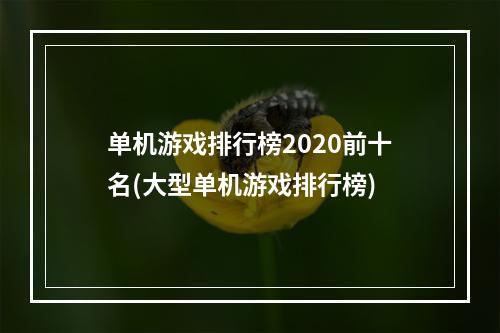 单机游戏排行榜2020前十名(大型单机游戏排行榜)