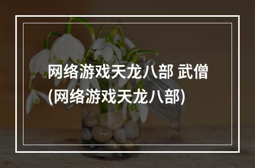 网络游戏天龙八部 武僧(网络游戏天龙八部)