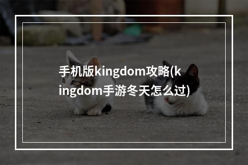 手机版kingdom攻略(kingdom手游冬天怎么过)