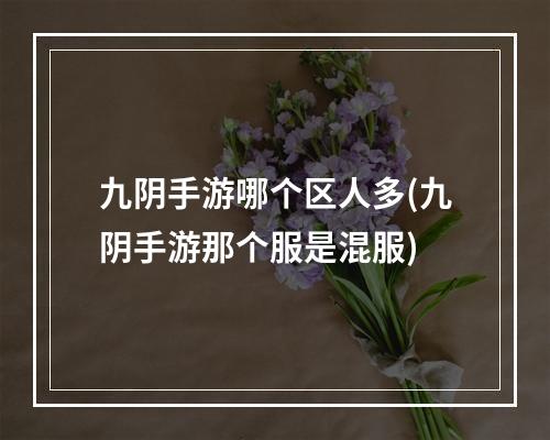 九阴手游哪个区人多(九阴手游那个服是混服)