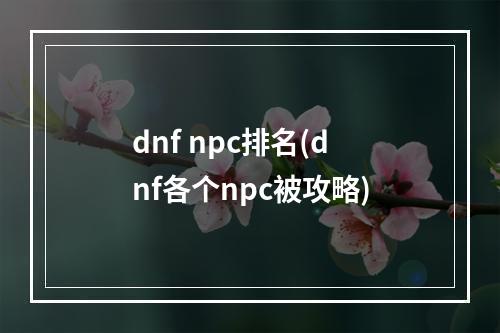 dnf npc排名(dnf各个npc被攻略)