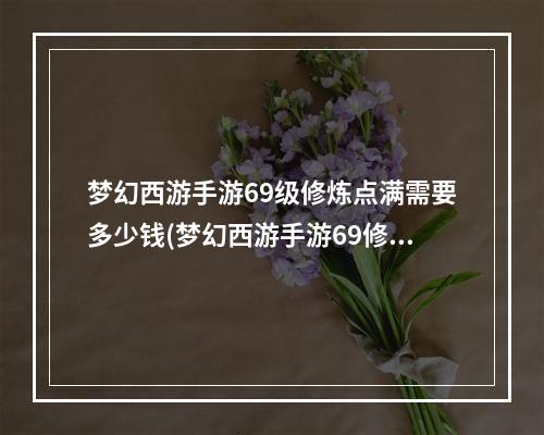 梦幻西游手游69级修炼点满需要多少钱(梦幻西游手游69修为)