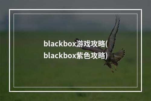 blackbox游戏攻略(blackbox紫色攻略)