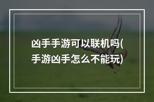 凶手手游可以联机吗(手游凶手怎么不能玩)