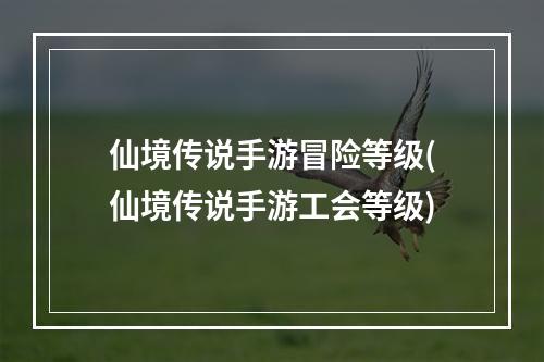 仙境传说手游冒险等级(仙境传说手游工会等级)