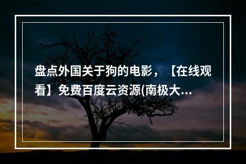 盘点外国关于狗的电影，【在线观看】免费百度云资源(南极大冒险下载)