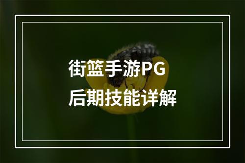 街篮手游PG后期技能详解