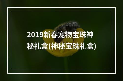 2019新春宠物宝珠神秘礼盒(神秘宝珠礼盒)