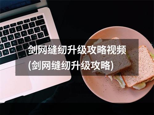 剑网缝纫升级攻略视频(剑网缝纫升级攻略)