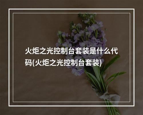 火炬之光控制台套装是什么代码(火炬之光控制台套装)