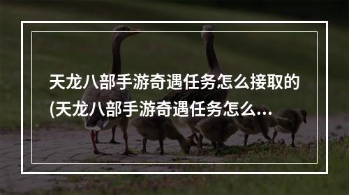 天龙八部手游奇遇任务怎么接取的(天龙八部手游奇遇任务怎么接取)