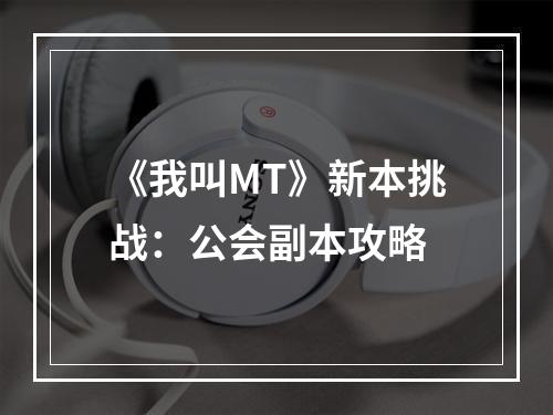 《我叫MT》新本挑战：公会副本攻略