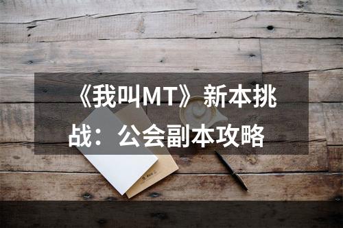 《我叫MT》新本挑战：公会副本攻略