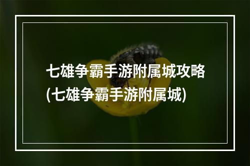 七雄争霸手游附属城攻略(七雄争霸手游附属城)