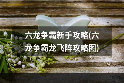 六龙争霸新手攻略(六龙争霸龙飞阵攻略图)