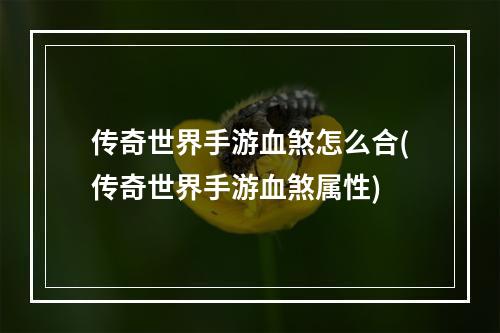 传奇世界手游血煞怎么合(传奇世界手游血煞属性)