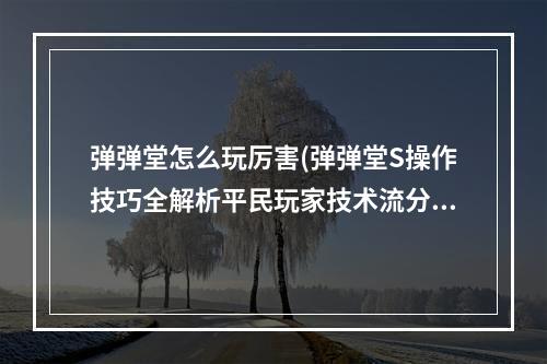 弹弹堂怎么玩厉害(弹弹堂S操作技巧全解析平民玩家技术流分析)