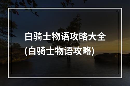 白骑士物语攻略大全(白骑士物语攻略)