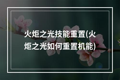 火炬之光技能重置(火炬之光如何重置机能)