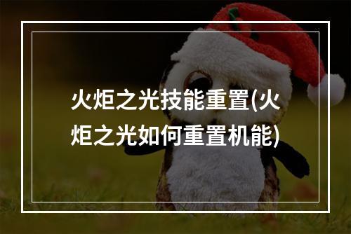 火炬之光技能重置(火炬之光如何重置机能)