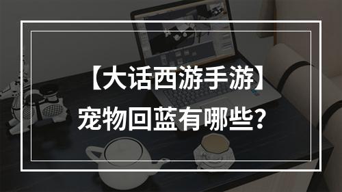 【大话西游手游】宠物回蓝有哪些？