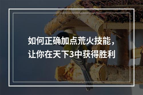 如何正确加点荒火技能，让你在天下3中获得胜利