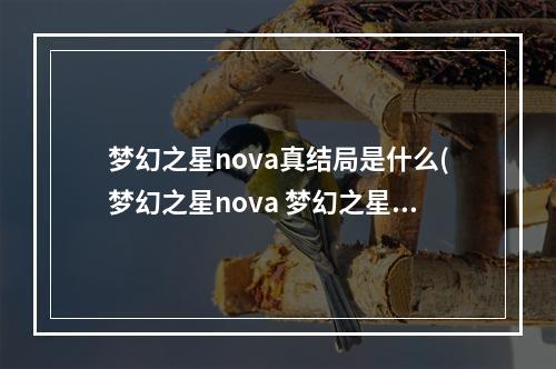 梦幻之星nova真结局是什么(梦幻之星nova 梦幻之星nova好玩么)