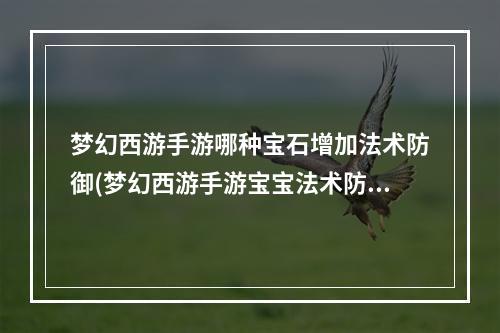 梦幻西游手游哪种宝石增加法术防御(梦幻西游手游宝宝法术防御)