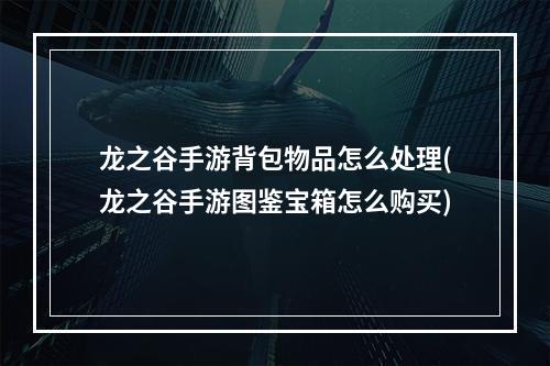 龙之谷手游背包物品怎么处理(龙之谷手游图鉴宝箱怎么购买)