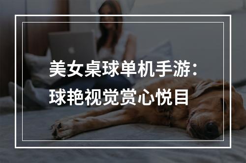 美女桌球单机手游：球艳视觉赏心悦目