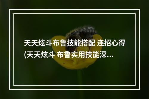 天天炫斗布鲁技能搭配 连招心得(天天炫斗 布鲁实用技能深度解析)