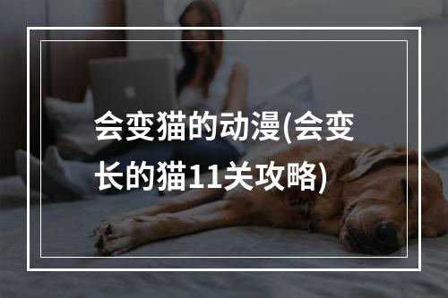 会变猫的动漫(会变长的猫11关攻略)