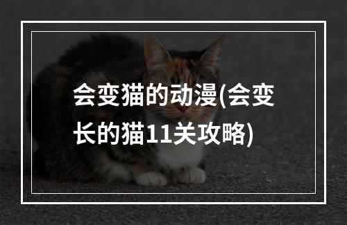 会变猫的动漫(会变长的猫11关攻略)