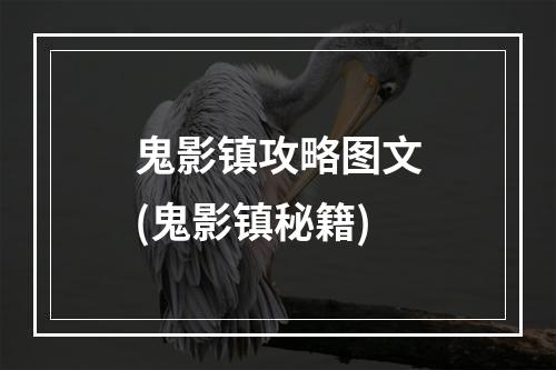 鬼影镇攻略图文(鬼影镇秘籍)