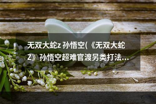 无双大蛇z 孙悟空(《无双大蛇Z》孙悟空超难官渡另类打法)