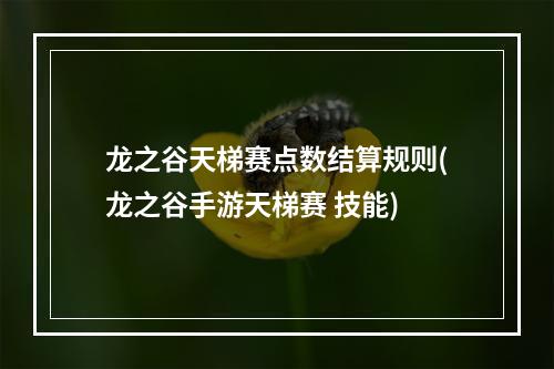 龙之谷天梯赛点数结算规则(龙之谷手游天梯赛 技能)